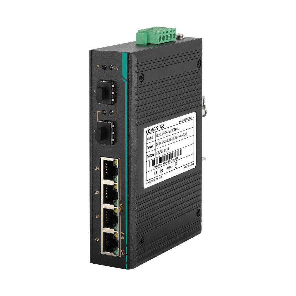 CIEN3206G-2GF-4GT-AD220